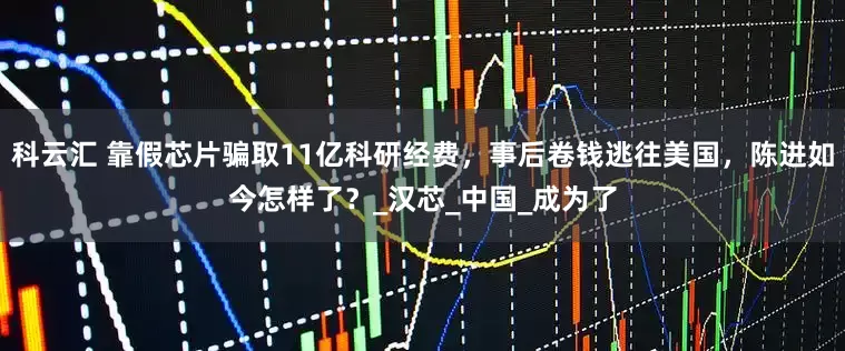 科云汇 靠假芯片骗取11亿科研经费，事后卷钱逃往美国，陈进如今怎样了？_汉芯_中国_成为了
