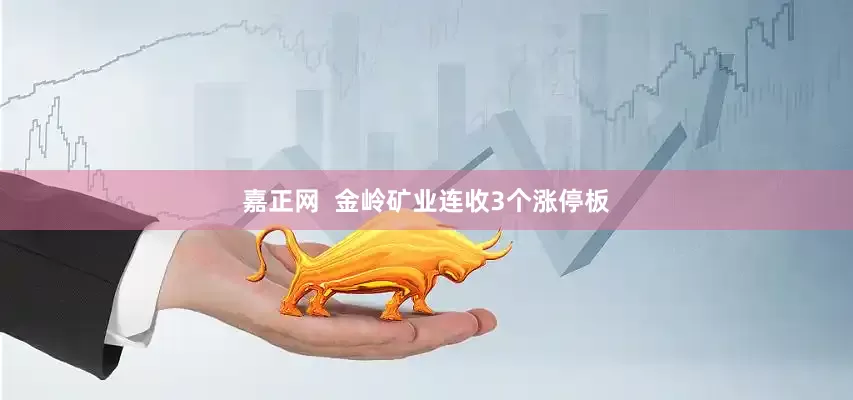 嘉正网  金岭矿业连收3个涨停板