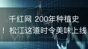 千红网 200年种植史！松江这道时令美味上线